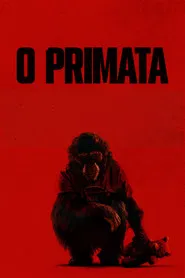 O Primata