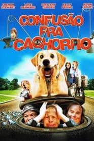 Confusão Pra Cachorro