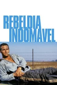 Rebeldia Indomável