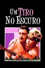 Um Tiro no Escuro